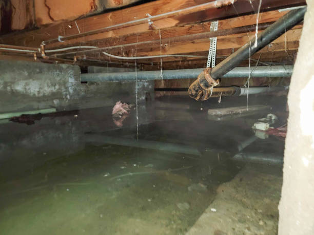 Best 24-hour water damage restoration  in Severance, CO