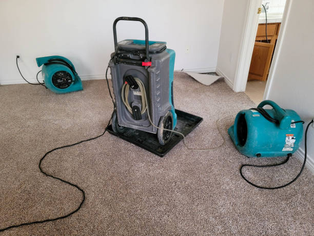 Best Water damage cleanup near me  in Severance, CO