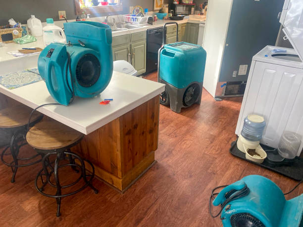 Best Residential water damage restoration  in Severance, CO