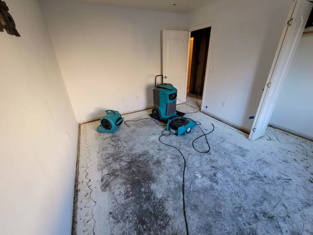 Local water damage restoration in Severance, CO