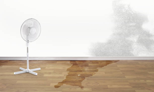 Best Water damage restoration specialists  in Severance, CO