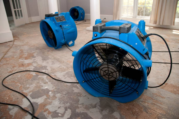 Best Sewage cleanup and water damage restoration  in Severance, CO