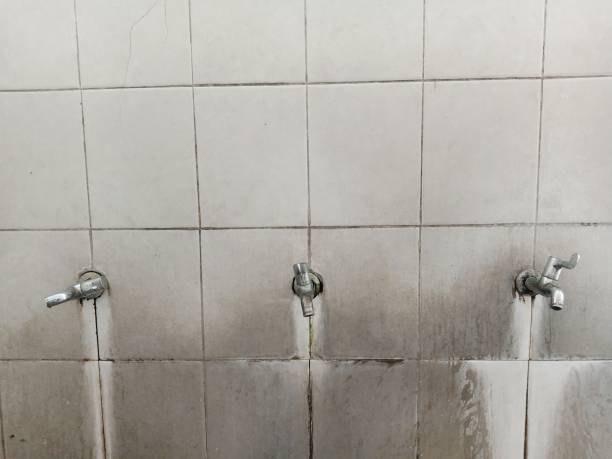 Best Flooded house restoration  in Severance, CO