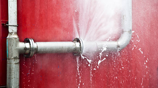 Best Mold removal after water damage  in Severance, CO